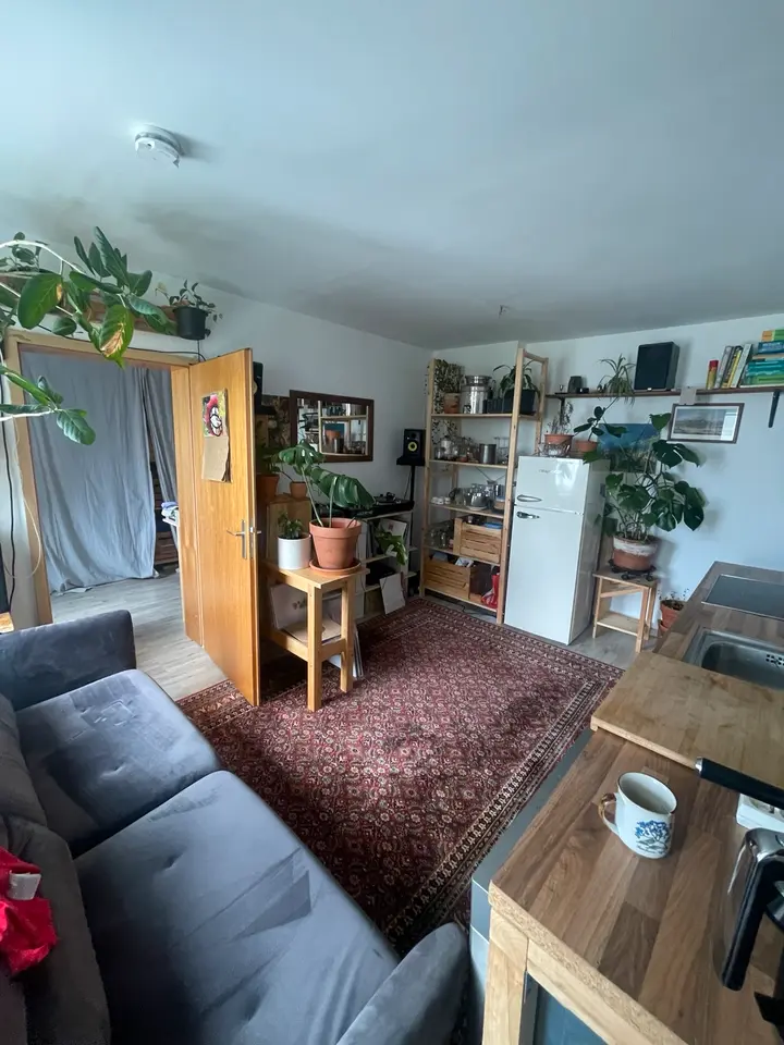 2 Zimmer Wohnung mit 35 m² in Halle (Saale) – Bild 1
