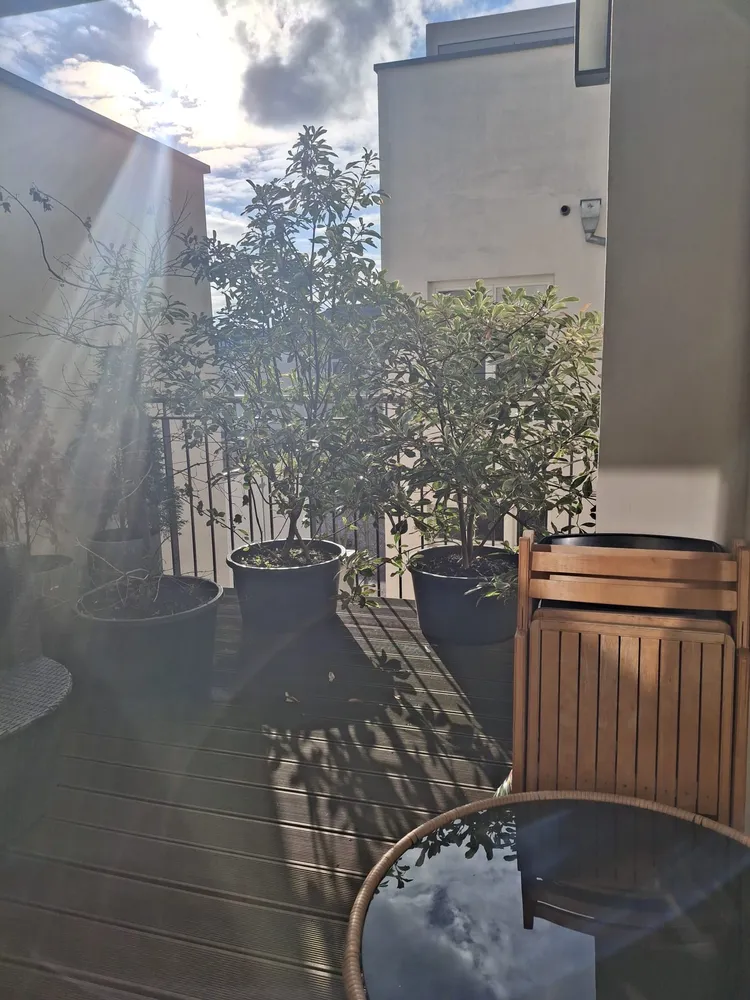 2 Zimmer Wohnung mit 121 m² in Leipzig – Bild 5