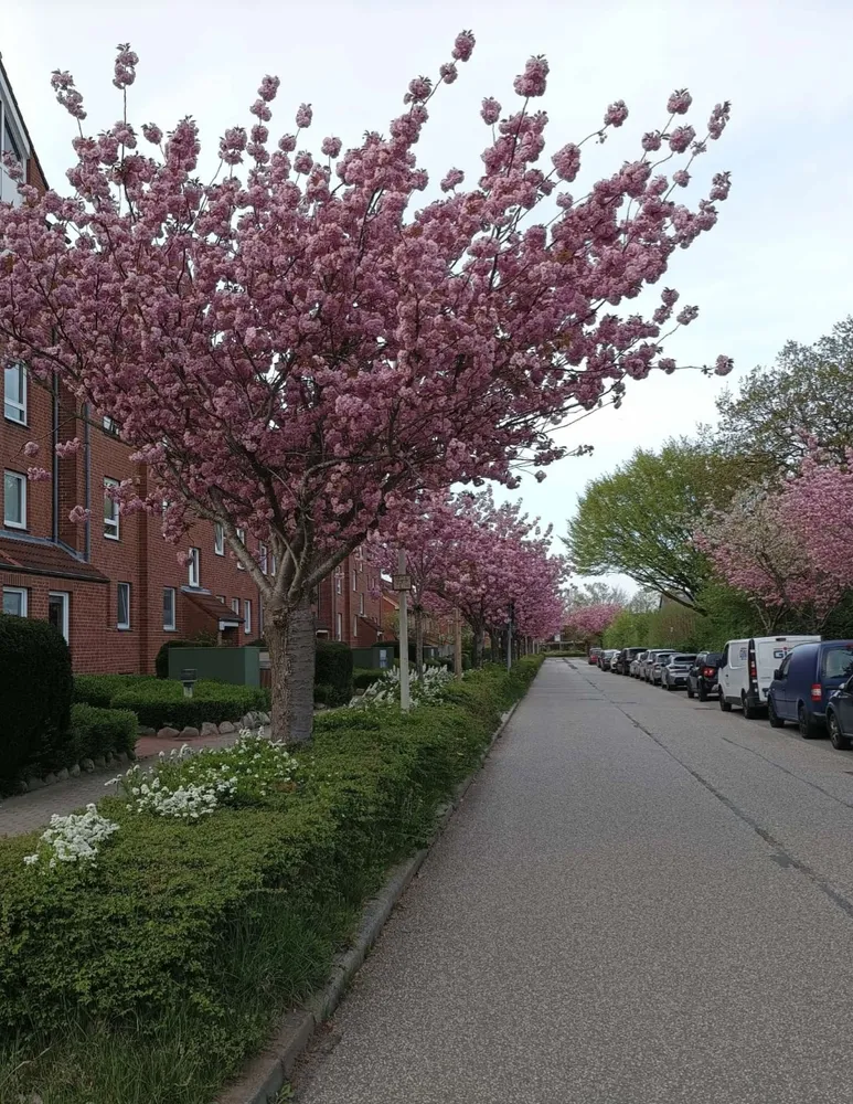 3 Zimmer Wohnung mit 79 m² in Kiel – Bild 2
