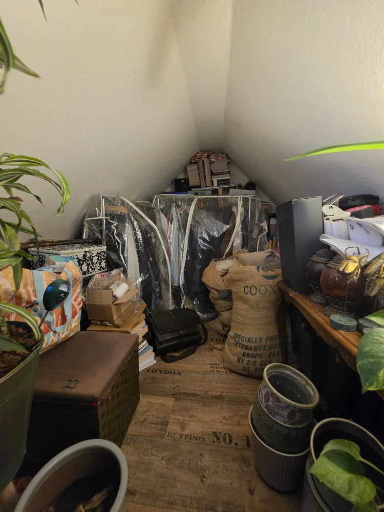 2 Zimmer Wohnung mit 75 m² in Wuppertal – Bild 3
