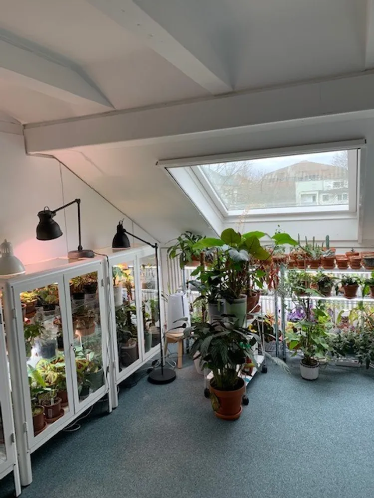 3 Zimmer Wohnung mit 97 m² in Mannheim – Bild 10