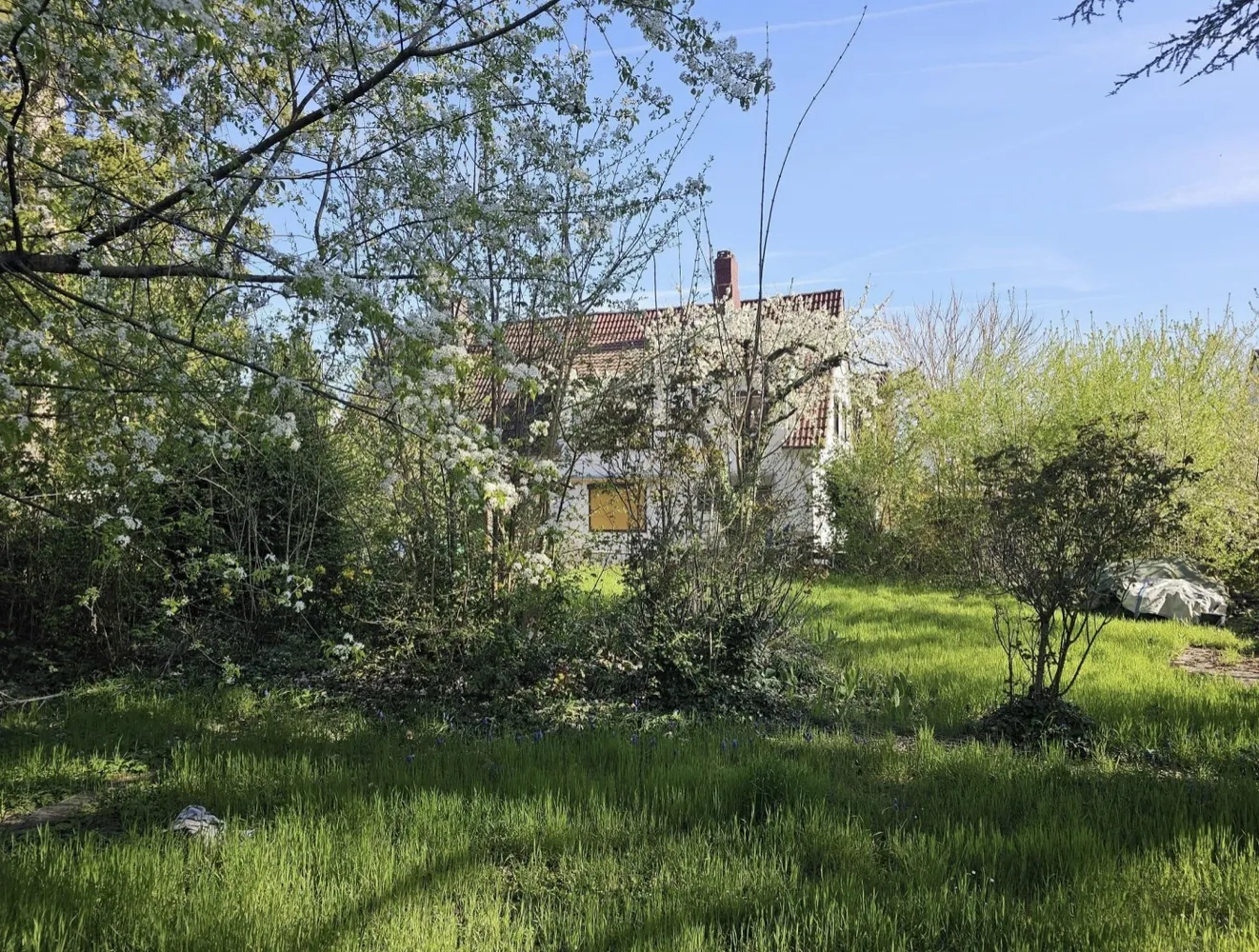 4 Zimmer Haus mit 85 m² in Mainz – Bild 5