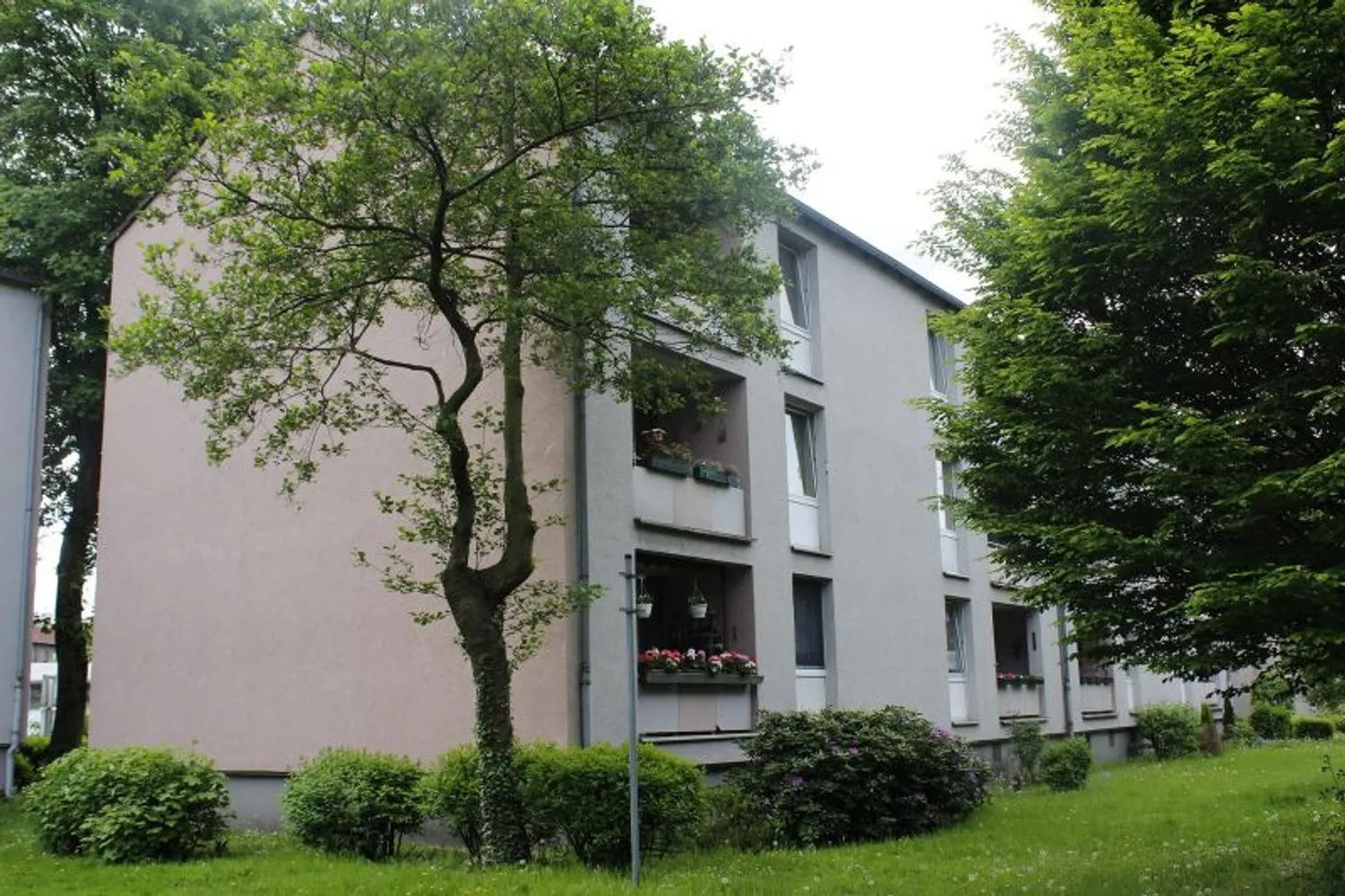 3 room apartment with 58 m² in Gelsenkirchen – Photo 5