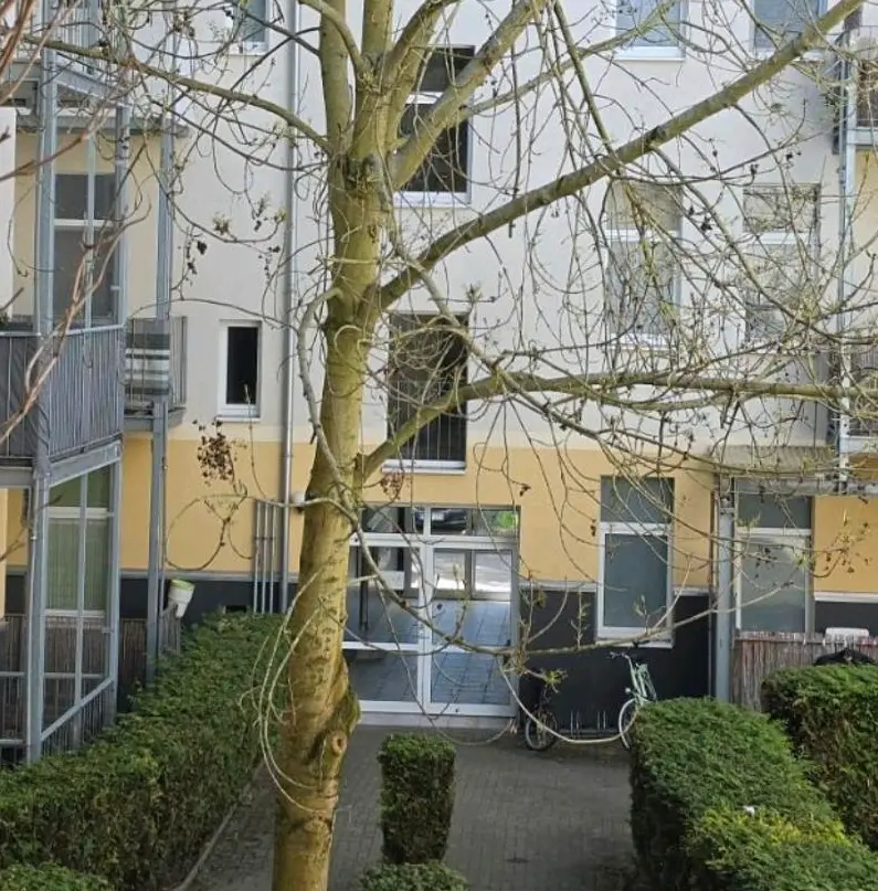3 Zimmer Wohnung mit 68 m² in Magdeburg – Bild 2