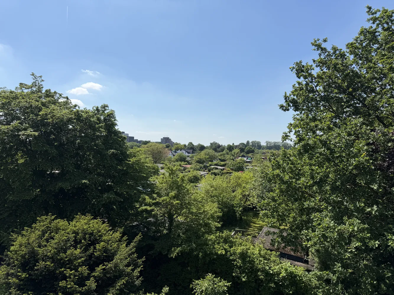 3 room apartment with 79 m² in Hanover – Photo 6