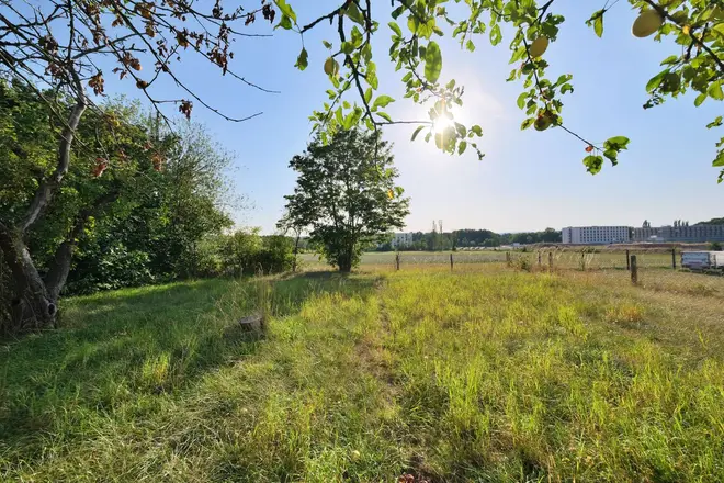 7 Zimmer Haus mit 163 m² in Bayreuth – Bild 4