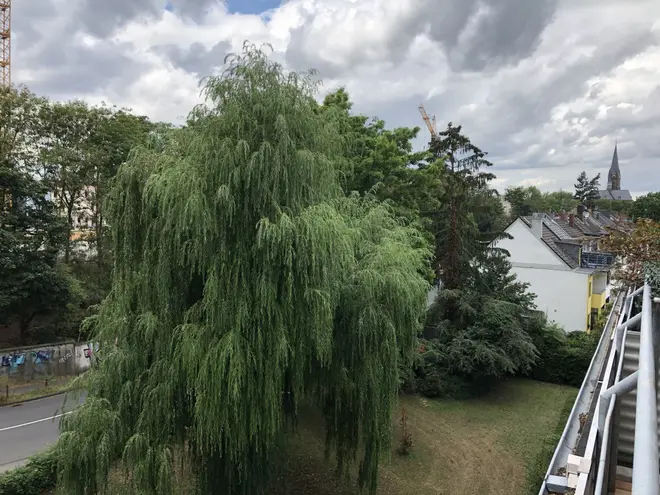 3 Zimmer Wohnung mit 85 m² in Bonn – Bild 6