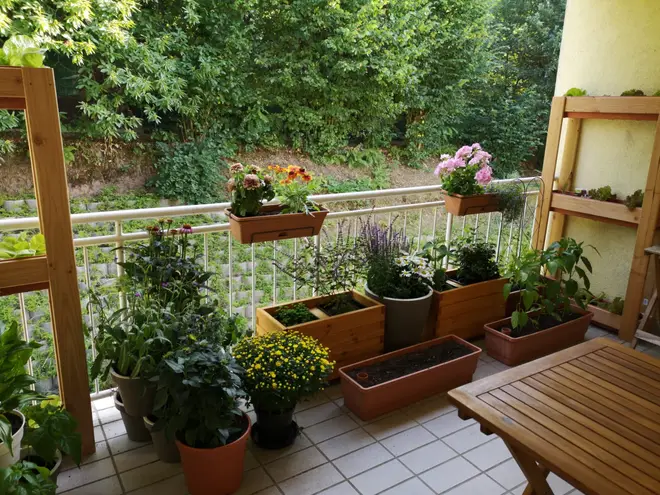 2 Zimmer Wohnung mit 72 m² in Saarbrücken – Bild 4