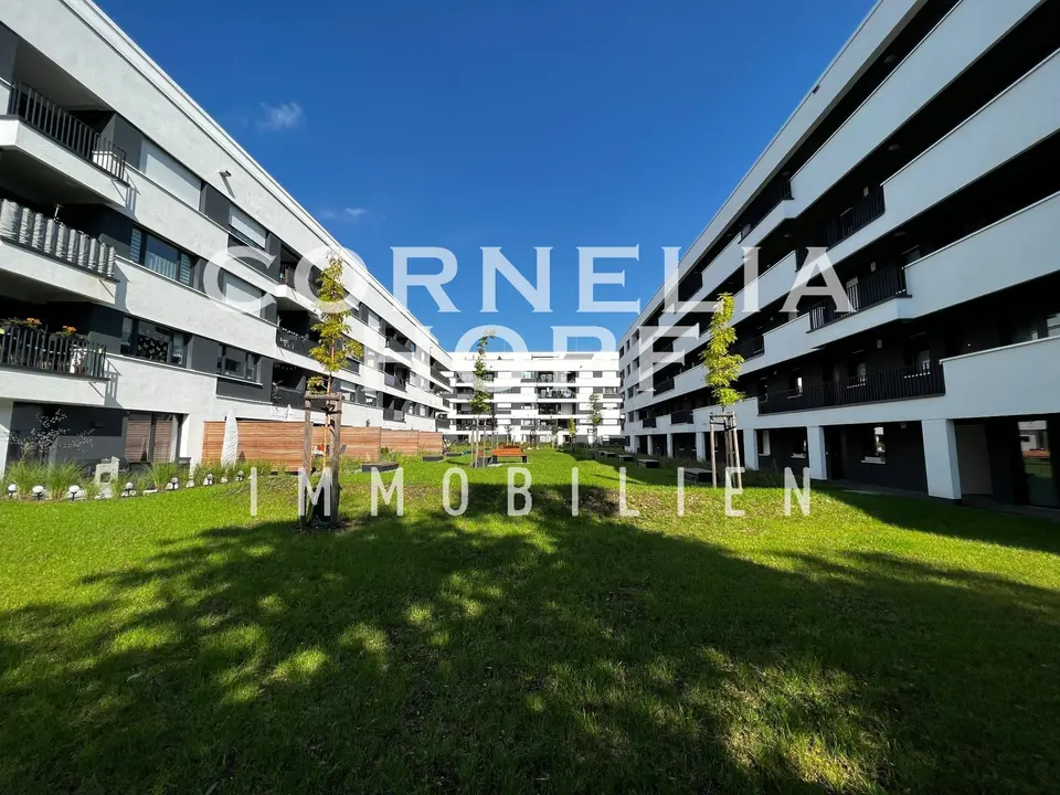 3 Zimmer Wohnung mit 76 m² in Halle (Saale) – Bild 4
