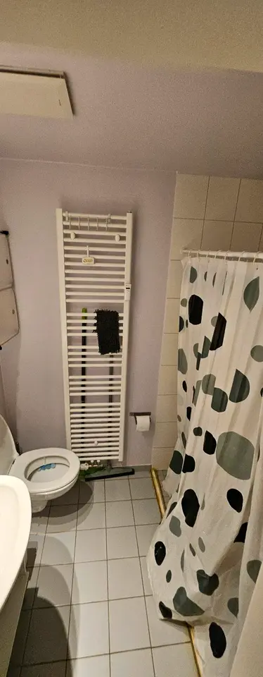 2 Zimmer Wohnung mit 20 m² in Dresden – Bild 4
