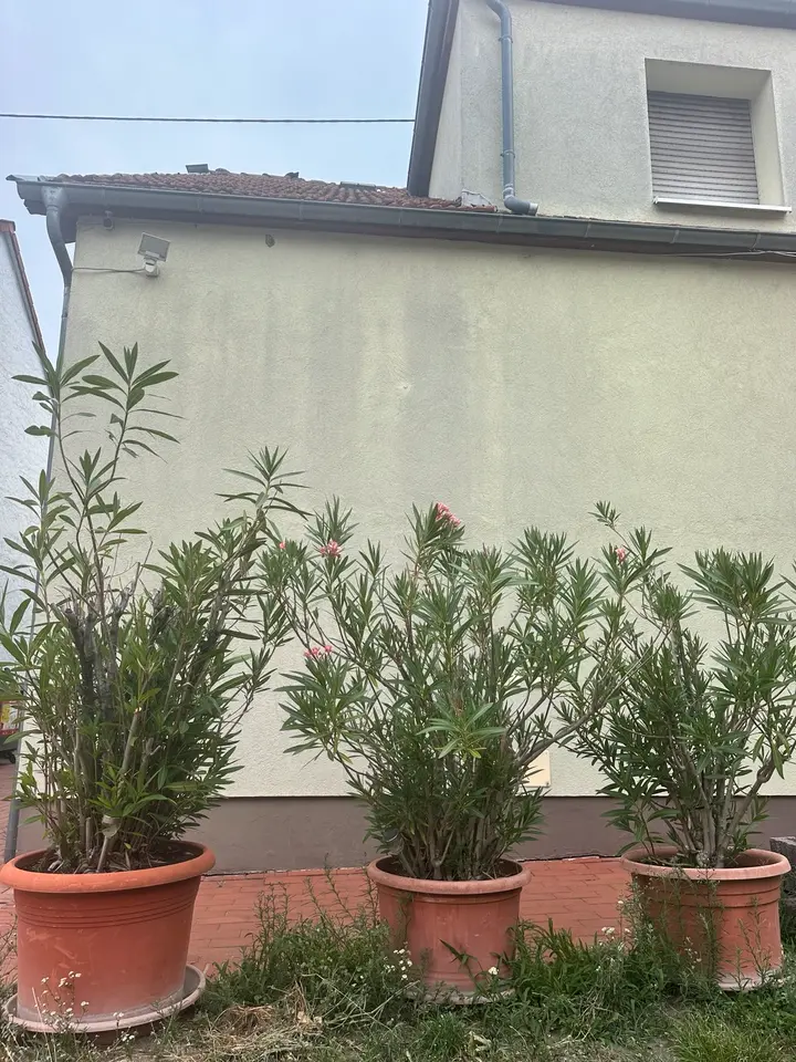 2 Zimmer Wohnung mit 20 m² in Karlsruhe – Bild 4