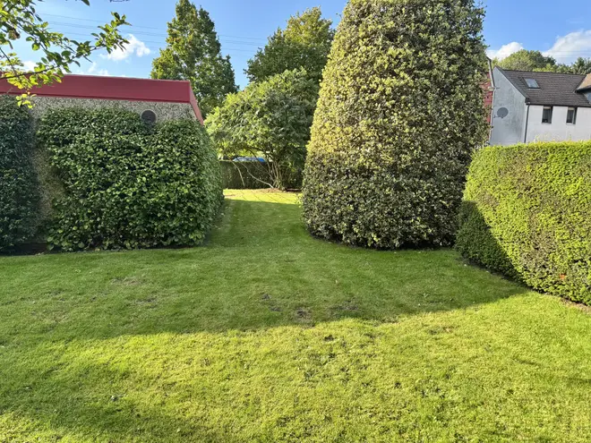 3 Zimmer Wohnung mit 70 m² in Bochum – Bild 4