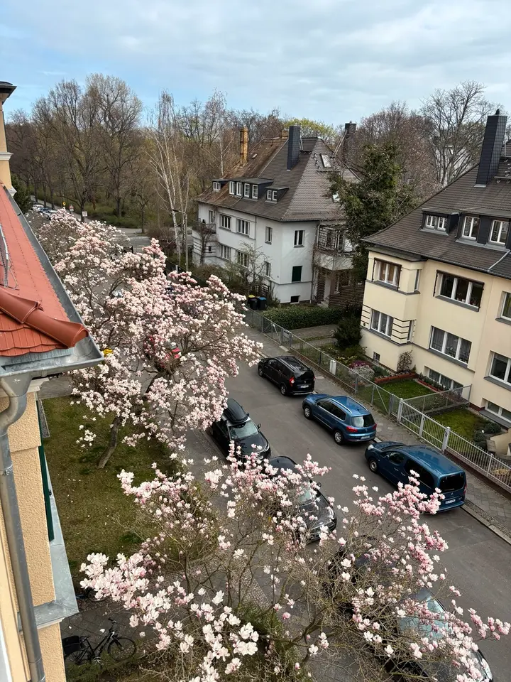 5 Zimmer Wohnung mit 143 m² in Eilenburg – Bild 2