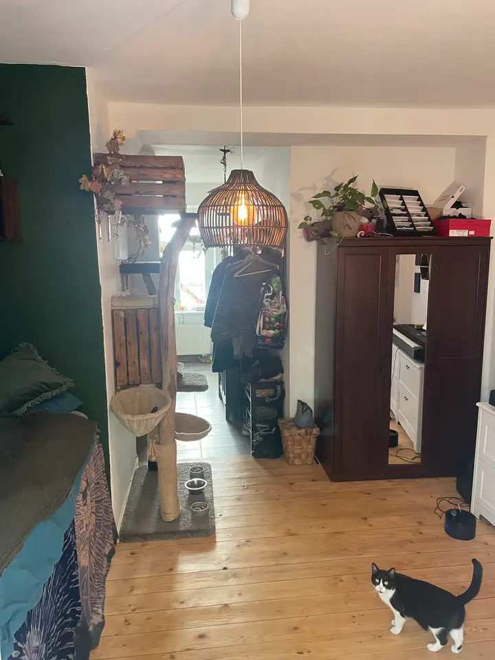 2 Zimmer Wohnung mit 33 m² in Dresden – Bild 9