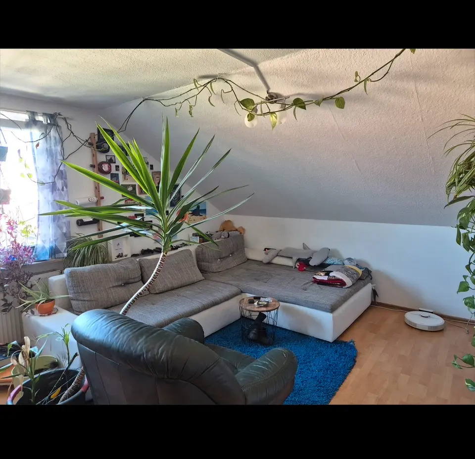 2 Zimmer Wohnung mit 40 m² in Würzburg – Bild 1