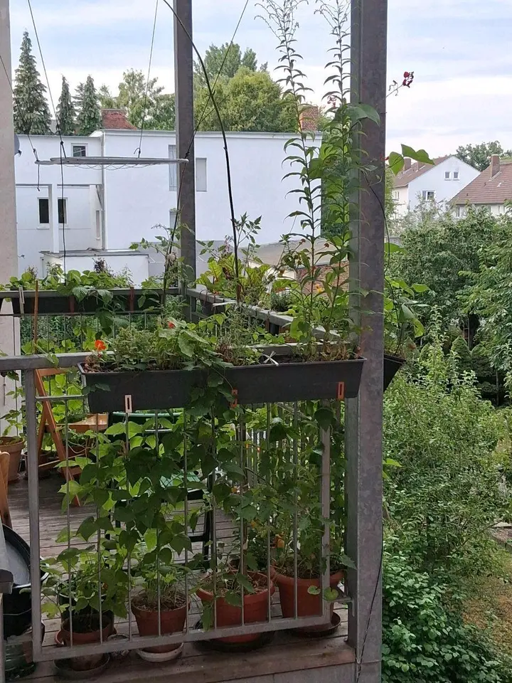 WG-Zimmer mit 15 m² in Kassel – Bild 2