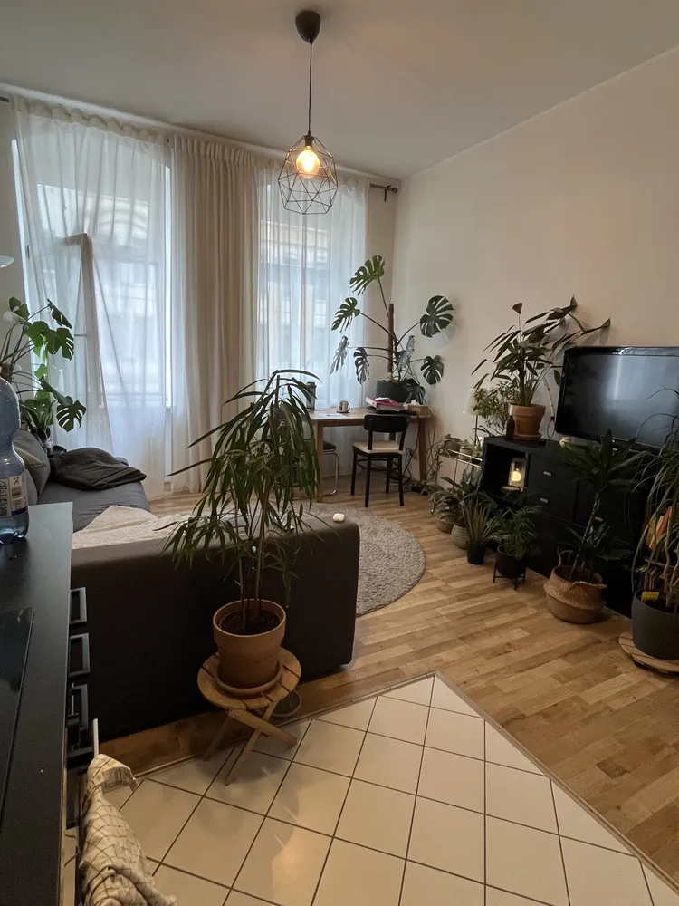 2 Zimmer Wohnung mit 44 m² in Dresden – Bild 1