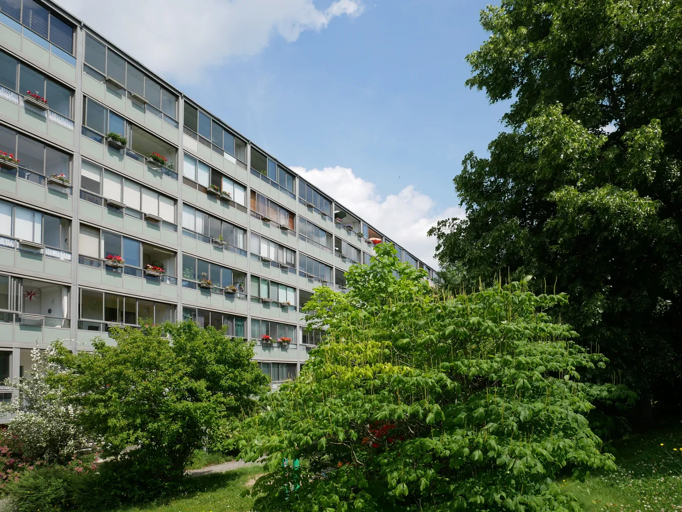 4 Zimmer Wohnung mit 81 m² in Löbau – Bild 11