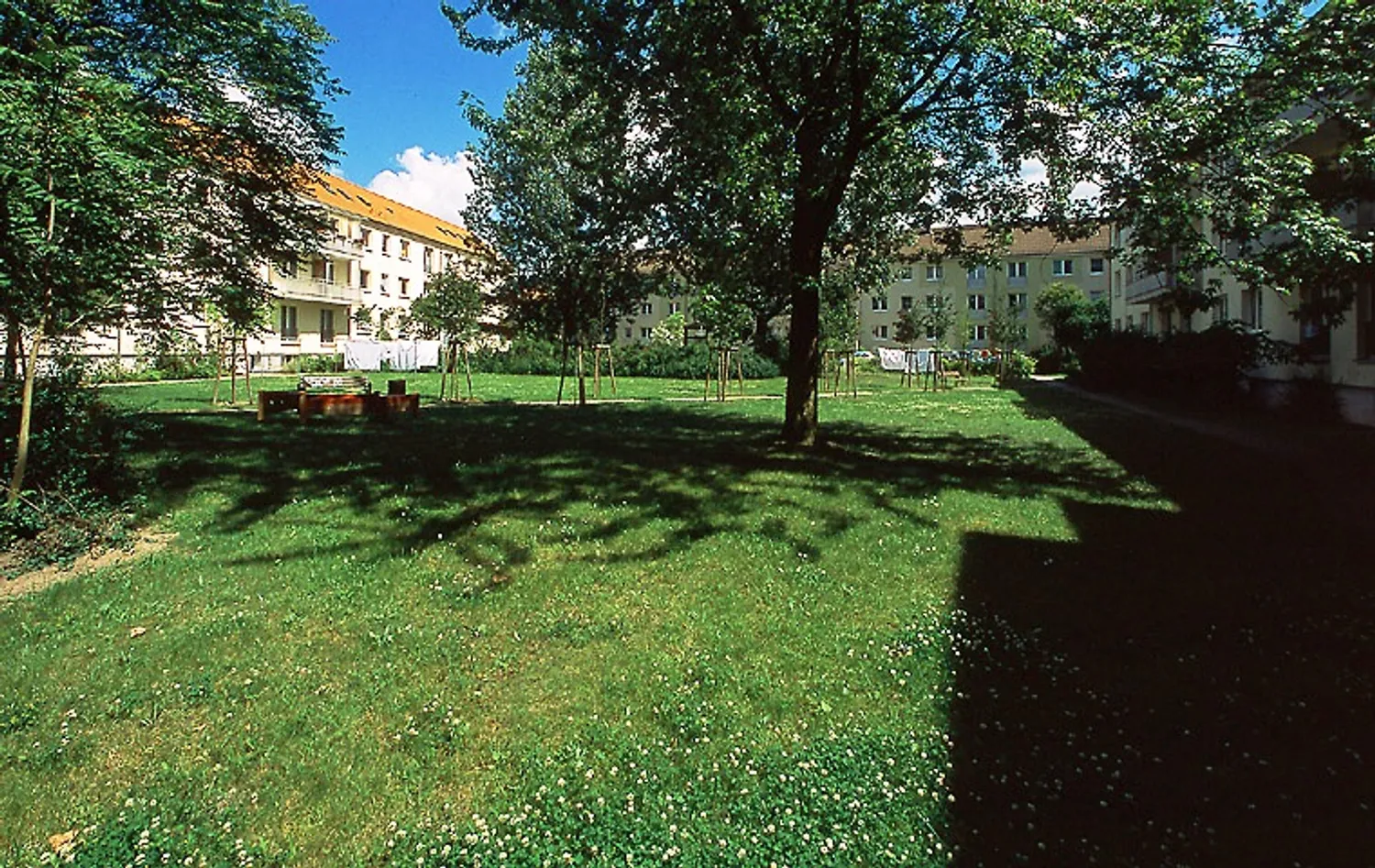 3 Zimmer Wohnung mit 53 m² in Neubrandenburg – Bild 2