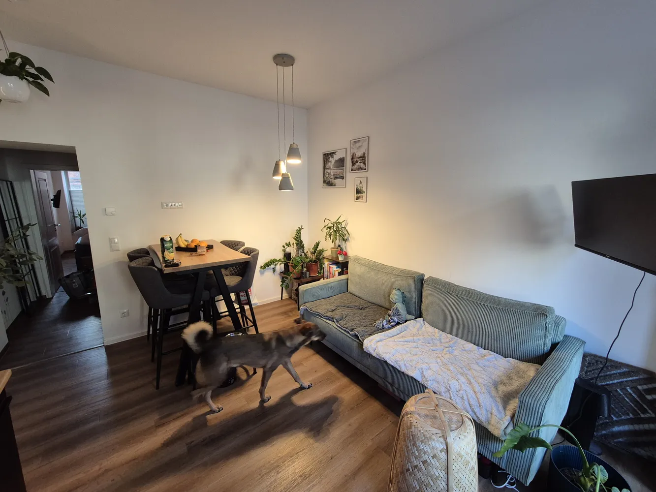 3 room apartment with 36 m² in Erfurt – Photo 2