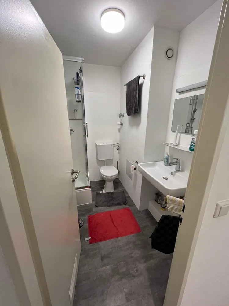 6 Zimmer Wohnung mit 160 m² in Ludwigshafen am Rhein – Bild 5