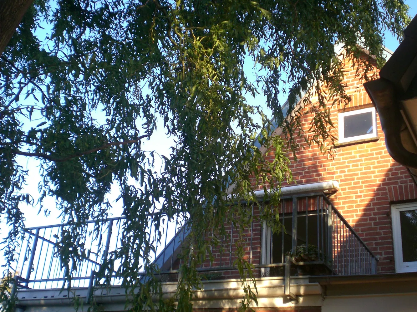 2 Zimmer Wohnung mit 54 m² in Lübeck – Bild 1