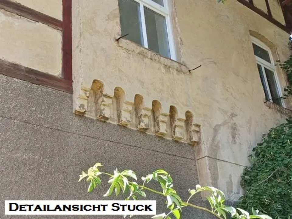 20 Zimmer Haus mit 400 m² in Halberstadt – Bild 4