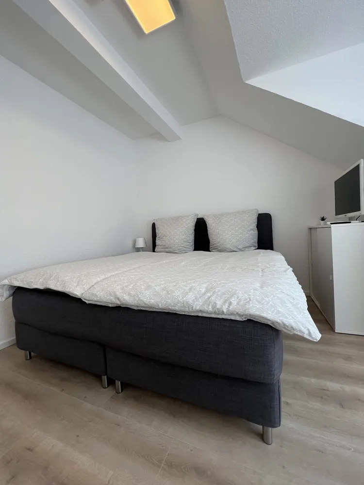 1 Zimmer Wohnung mit 20 m² in Bad Kreuznach – Bild 1