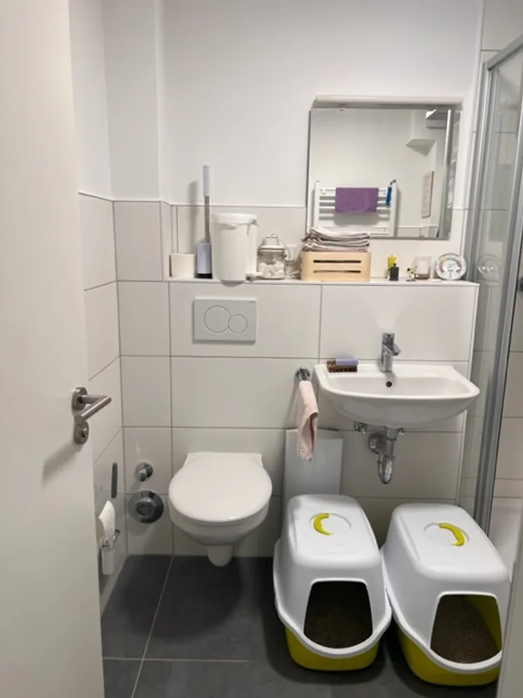 3 Zimmer Wohnung mit 75 m² in Mannheim – Bild 9