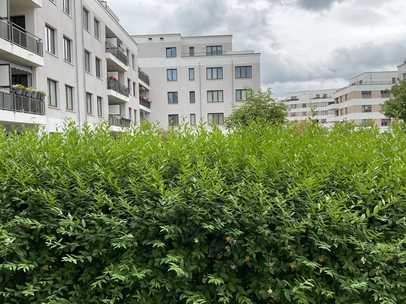 2 Zimmer Wohnung mit 48 m² in Berlin – Bild 1