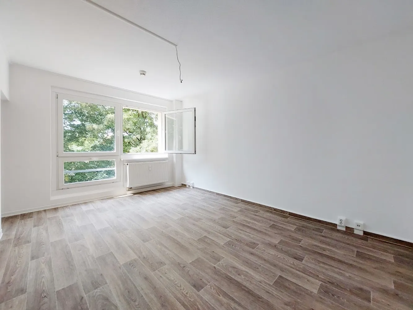 1 Zimmer Wohnung mit 27 m² in Dresden – Bild 1