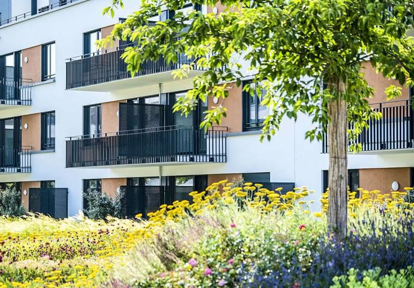 4 Zimmer Wohnung mit 120 m² in Offenbach am Main – Bild 5