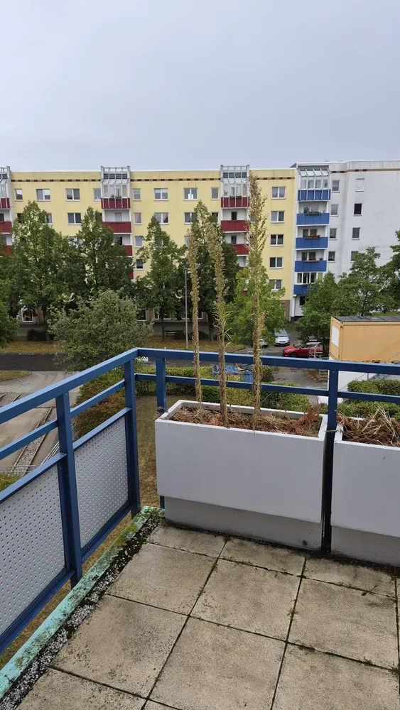 2 Zimmer Wohnung mit 50 m² in Leipzig – Bild 8