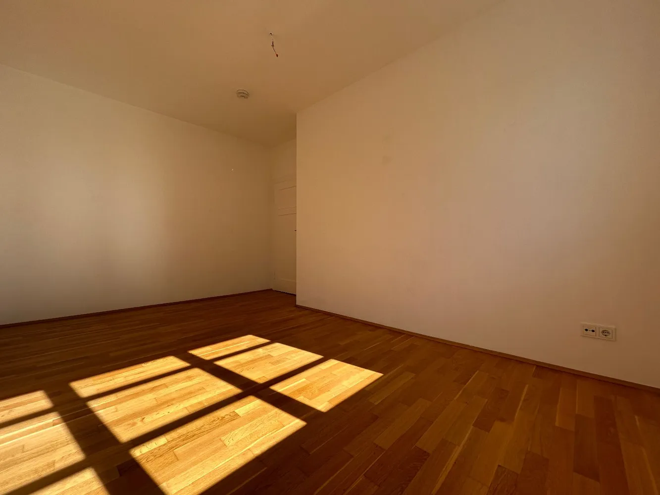 2 room apartment with 57 m² in Dresden – Photo 3
