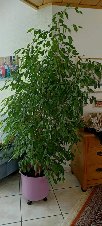 3 Zimmer Wohnung mit 90 m² in Aalen – Bild 7