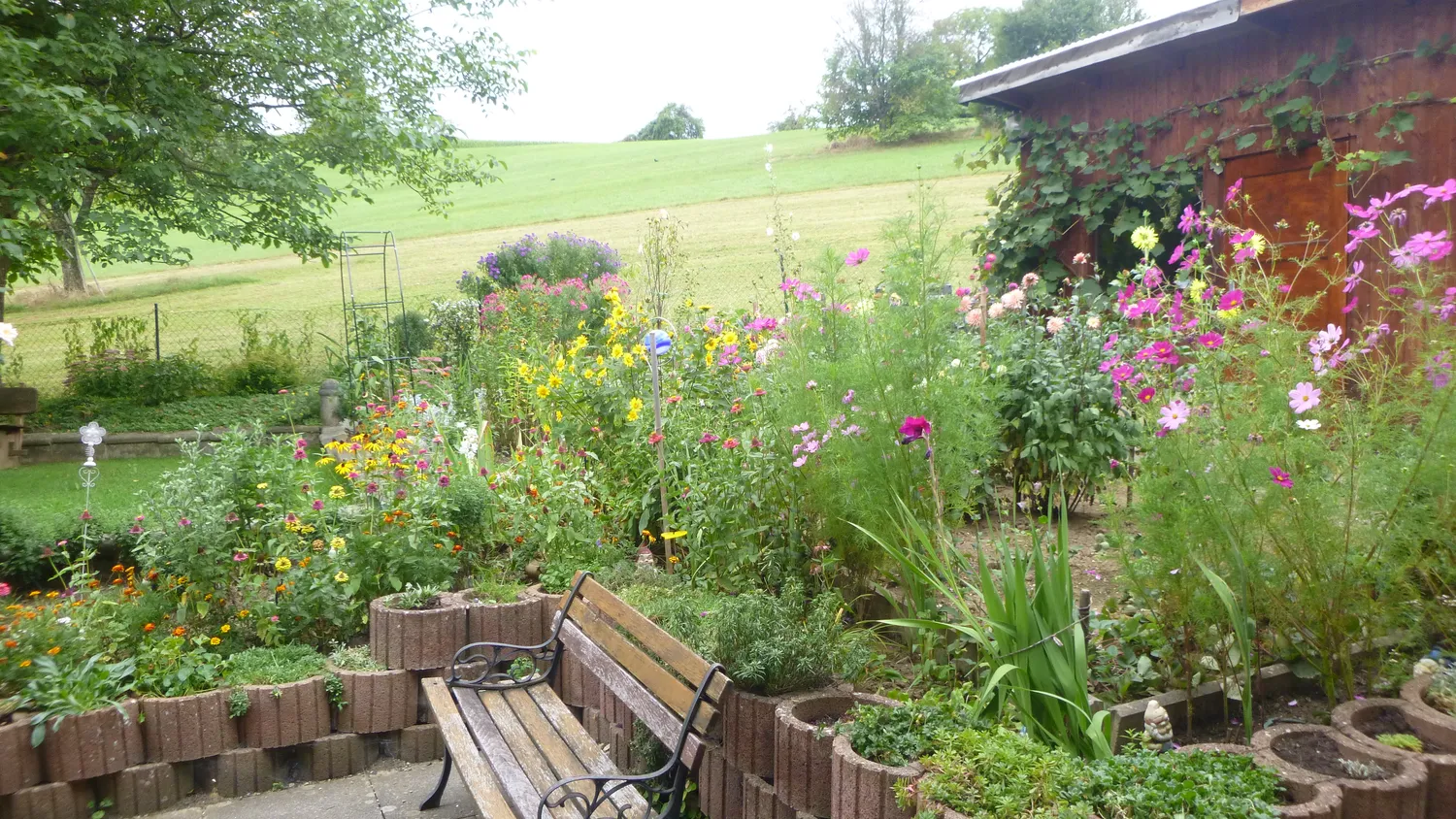 WG-Zimmer mit 9 m² in Rheinfelden – Bild 11