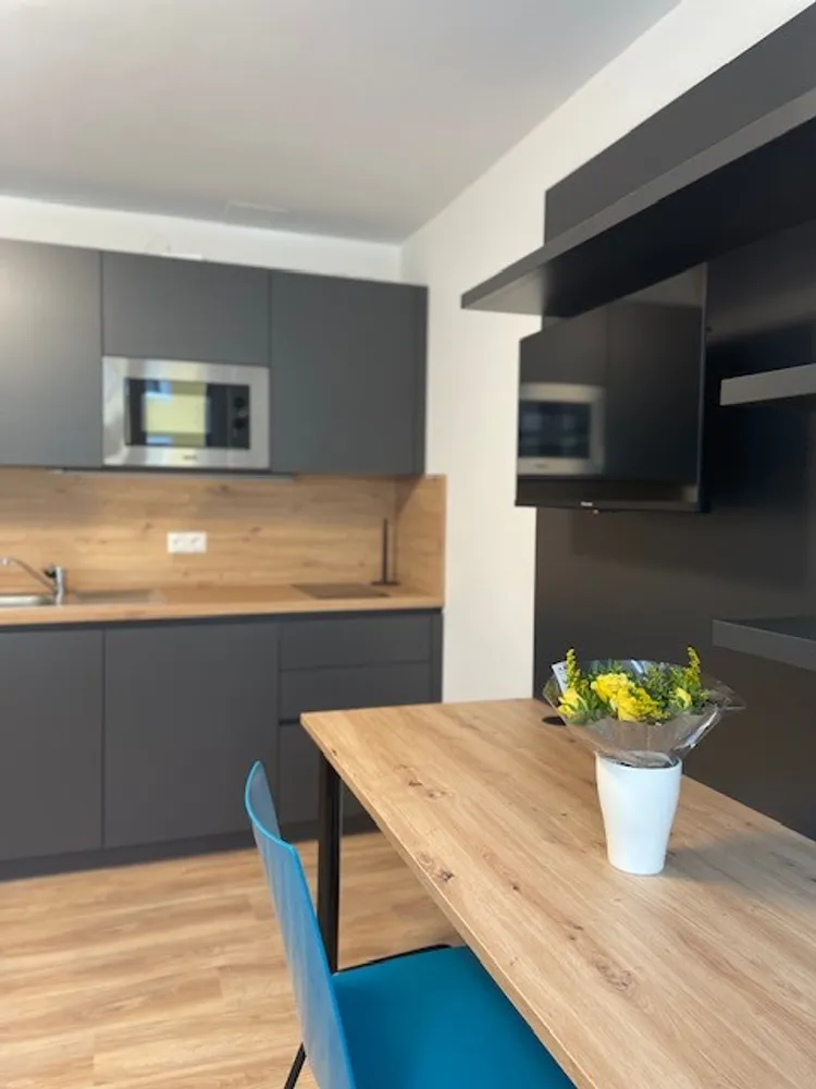 1 room apartment with 28 m² in Bayreuth – Photo 1