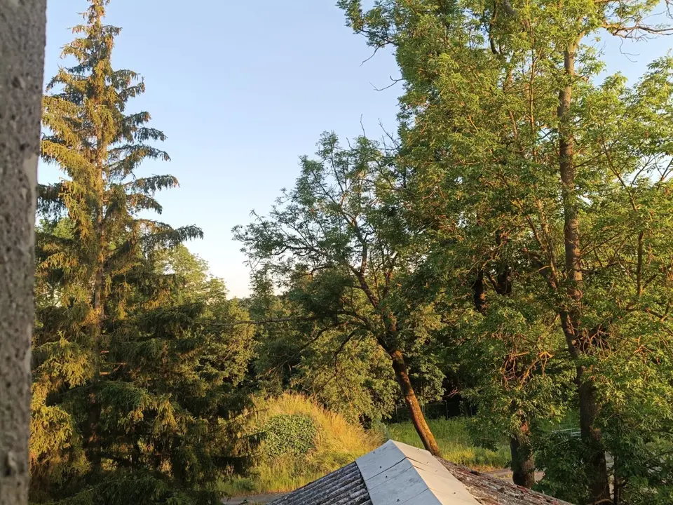 WG-Zimmer mit 20 m² in Suhl – Bild 6