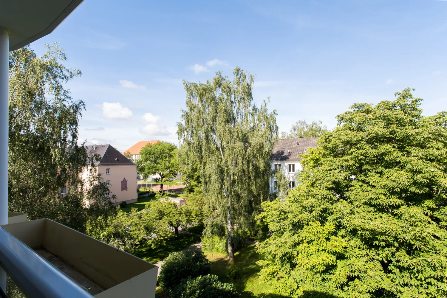 3 Zimmer Wohnung mit 59 m² in Chemnitz – Bild 3