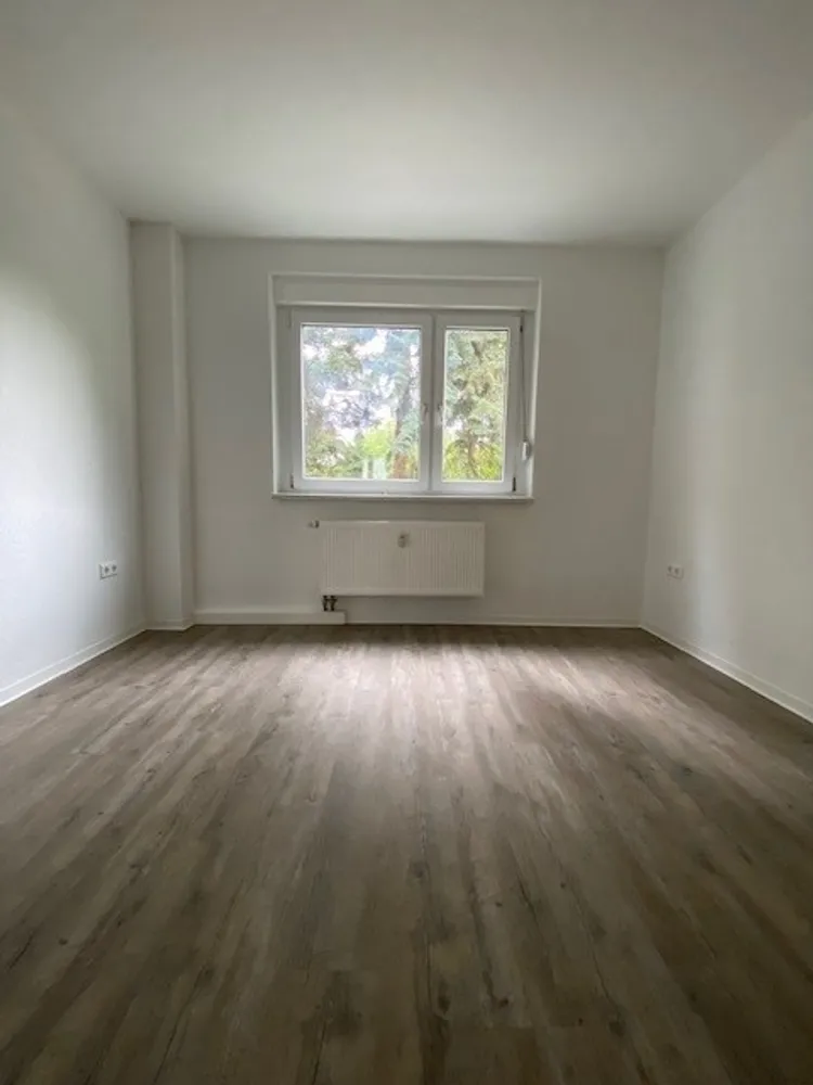 3 room apartment with 63 m² in Dresden – Photo 4
