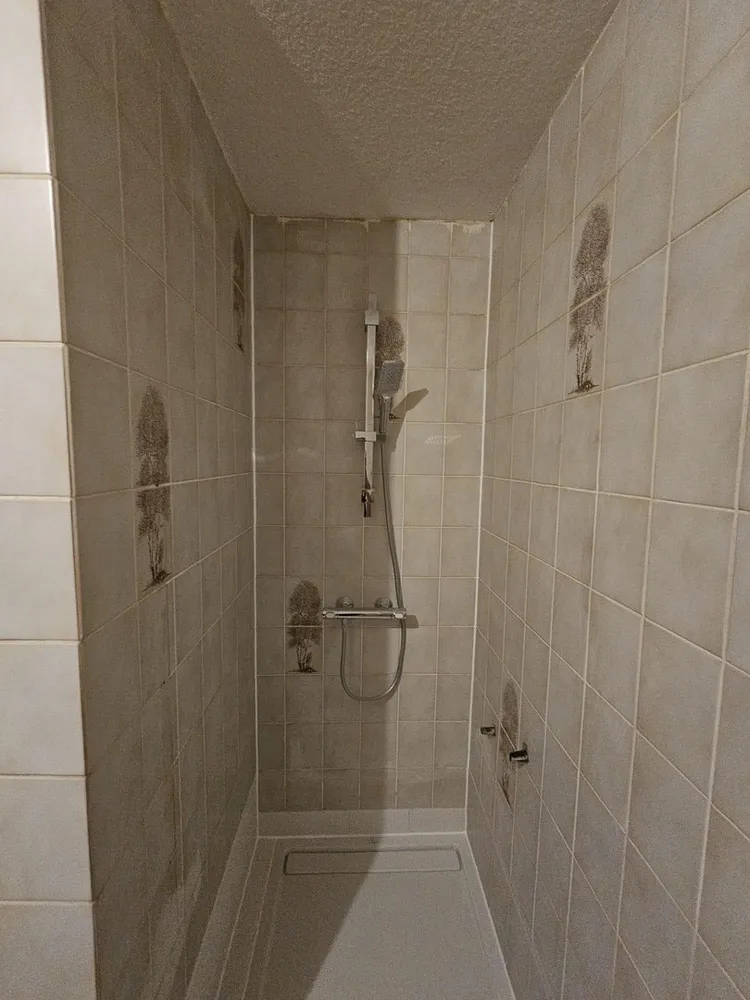1 room apartment with 50 m² in Mannheim – Photo 4