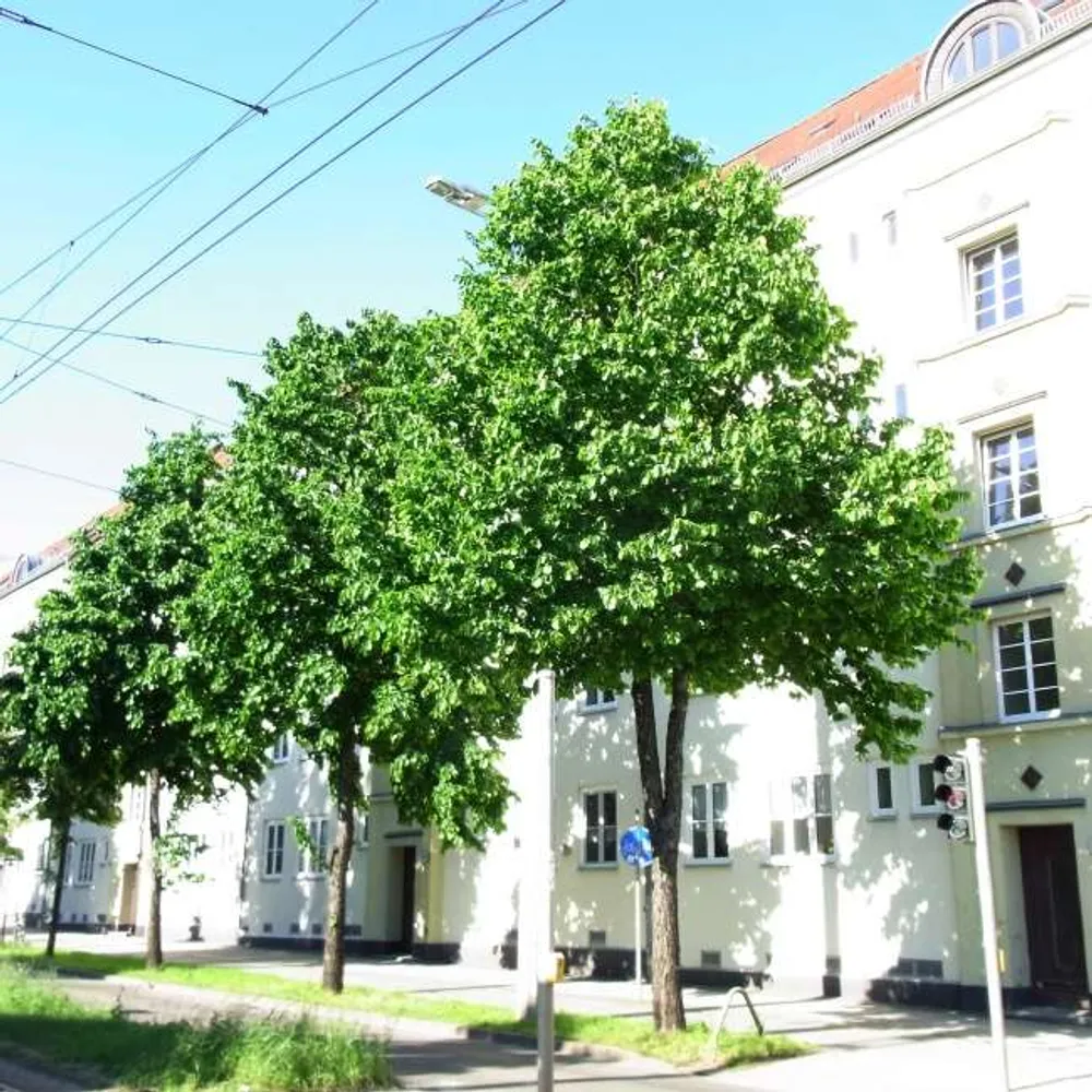 2 Zimmer Wohnung mit 47 m² in Leipzig – Bild 2
