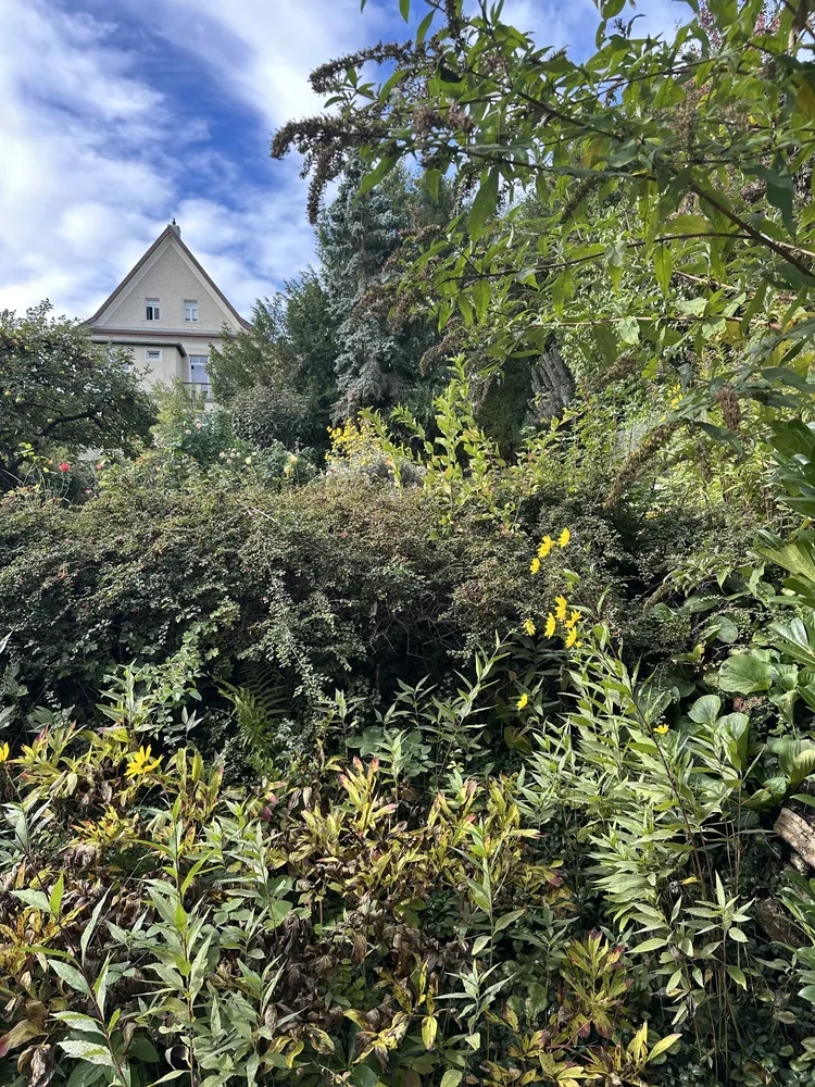 3 Zimmer Wohnung mit 70 m² in Stuttgart – Bild 4