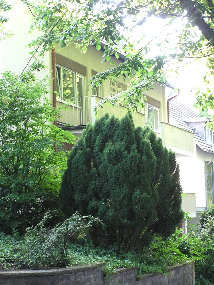 2 room apartment with 60 m² in Bonn – Photo 2