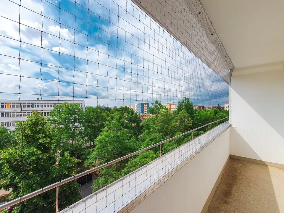 3 Zimmer Wohnung mit 71 m² in Zwickau – Bild 4