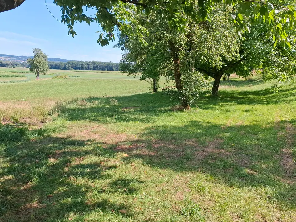 Studio mit 24 m² in Biberach an der Riß – Bild 3