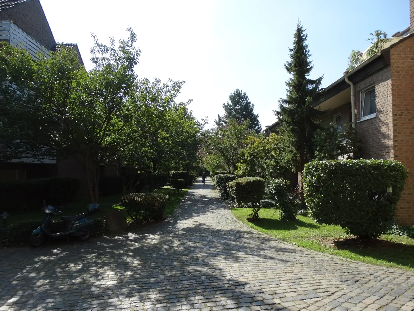 2 room apartment with 51 m² in Bonn – Photo 6