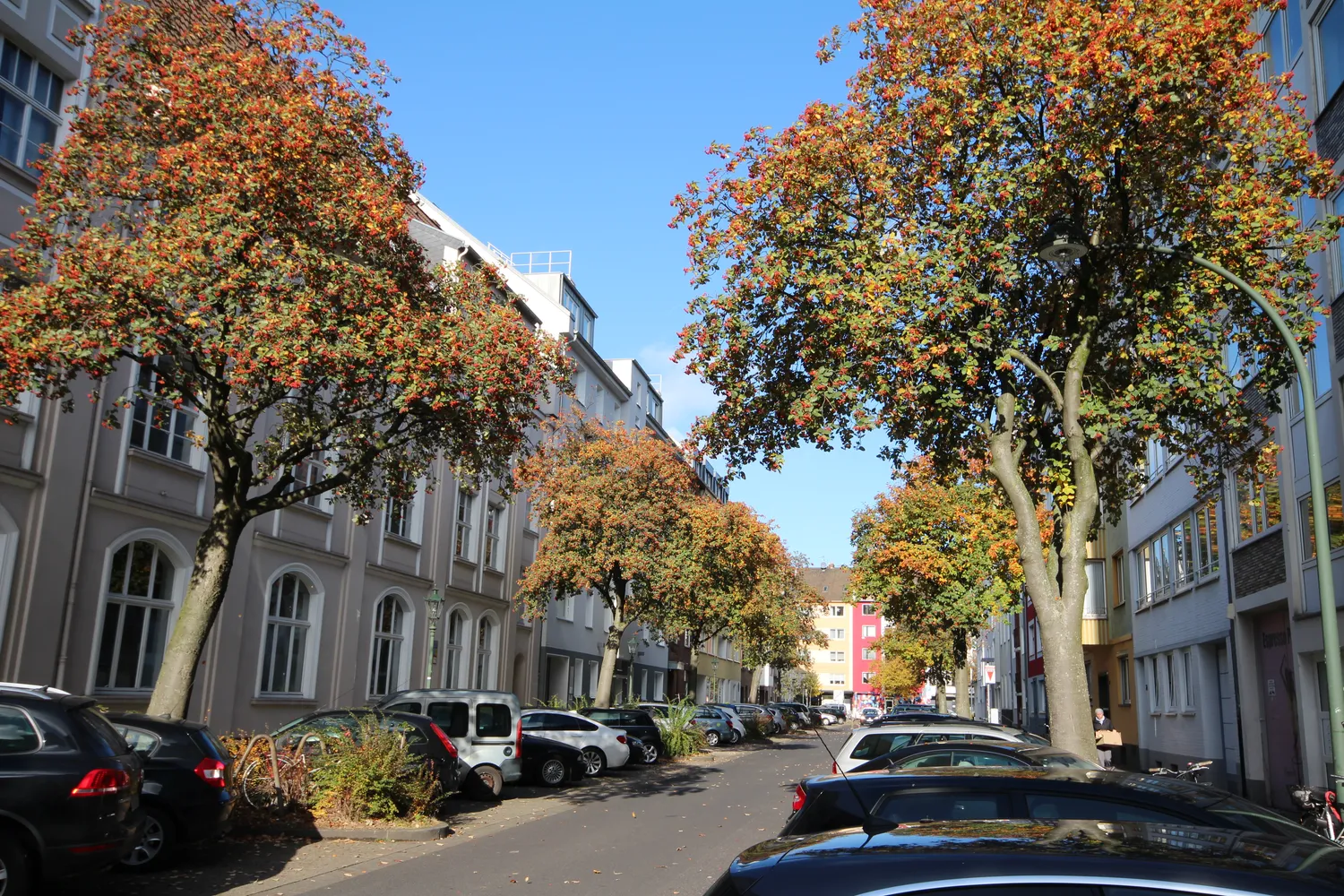2 room apartment with 38 m² in Düsseldorf – Photo 3