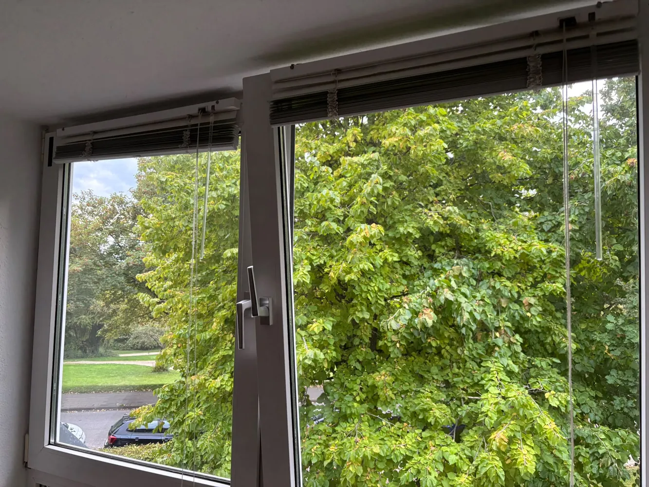 2 room apartment with 26 m² in Aachen – Photo 5
