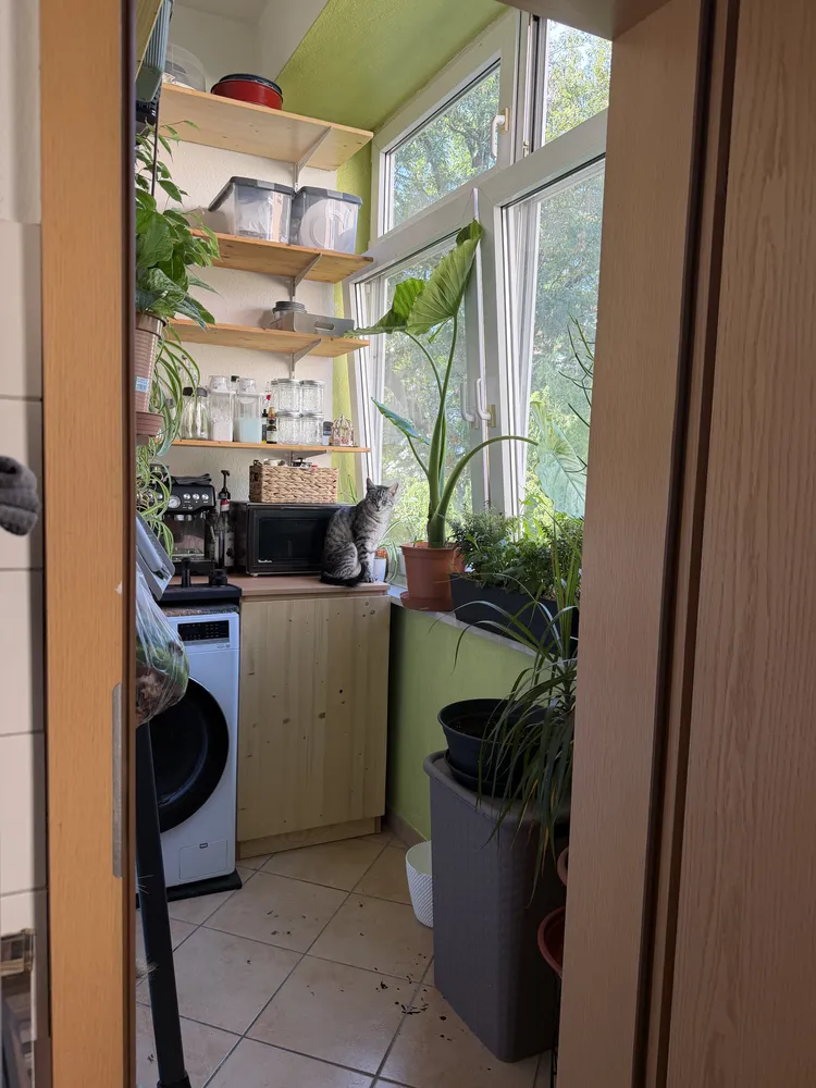 2 Zimmer Wohnung mit 48 m² in Herne – Bild 2